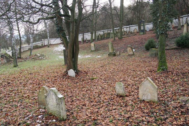 Židovský hřbitov Slavkov u Brna _77