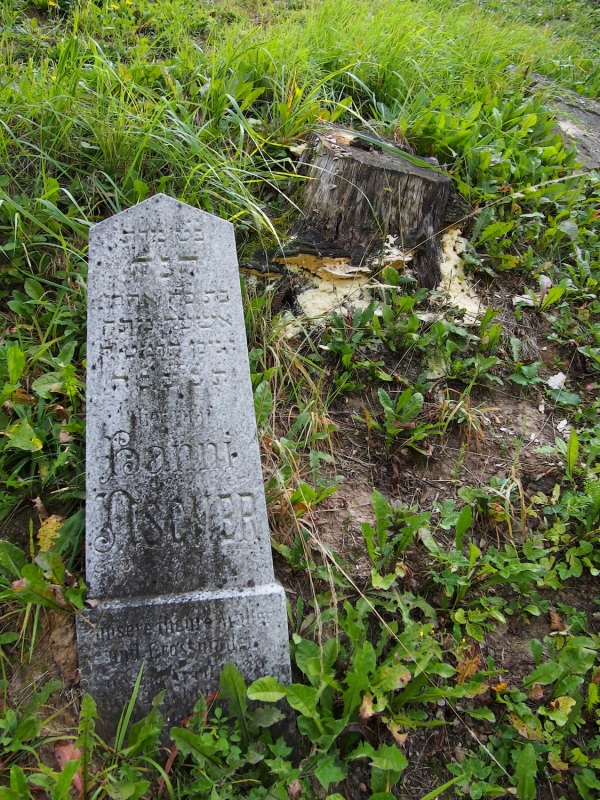 Židovský hřbitov Boskovice_55
