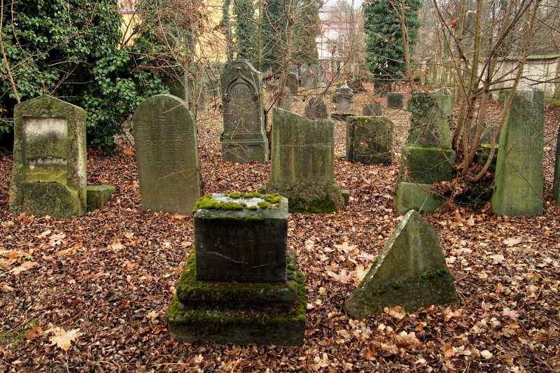 Židovský hřbitov Hranice_21