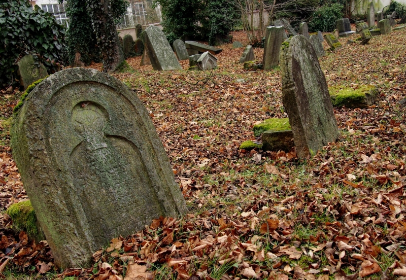 Židovský hřbitov Hranice_49