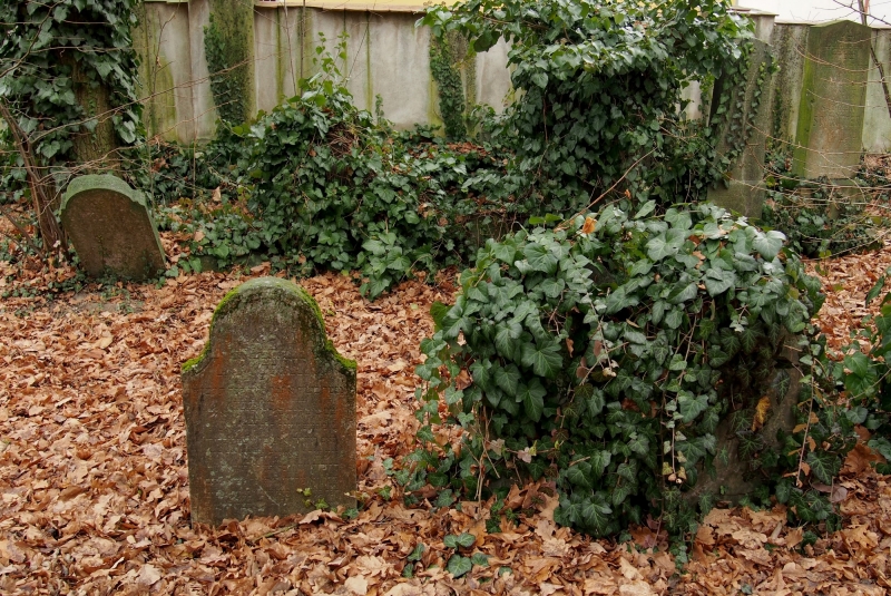 Židovský hřbitov Hranice_71