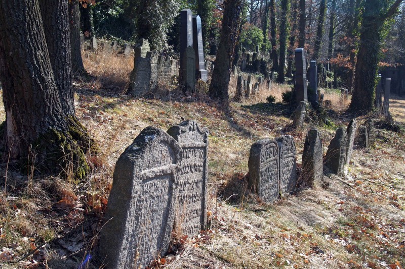 Židovský hřbitov v Kosově Hoře_21