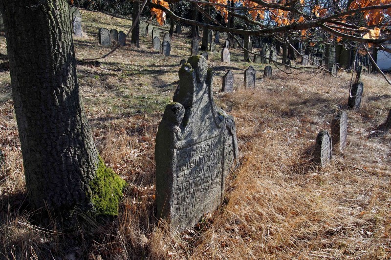 Židovský hřbitov v Kosově Hoře_35