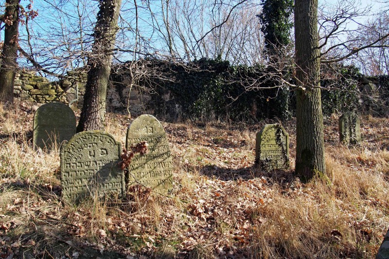 Židovský hřbitov v Kosově Hoře_49
