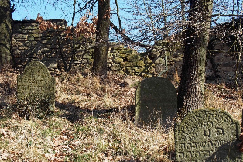 Židovský hřbitov v Kosově Hoře_50