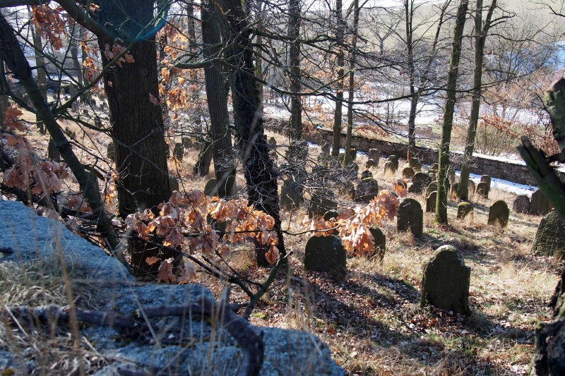 Židovský hřbitov v Kosově Hoře_53