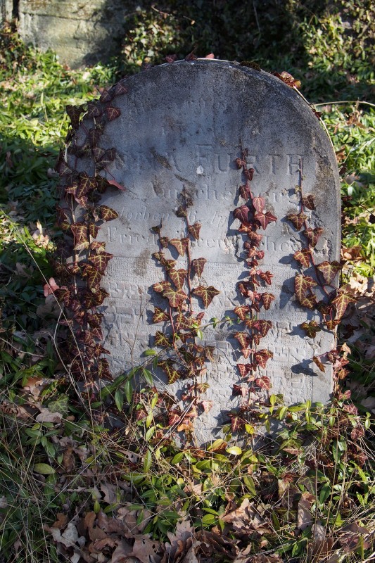 Židovský hřbitov v Kosově Hoře_82