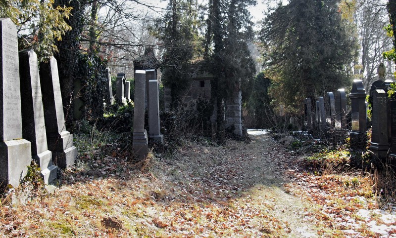 Židovský hřbitov v Kosově Hoře_84