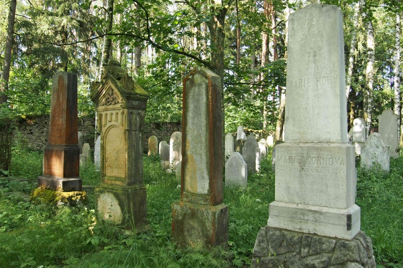 Židovský hřbitov Dřevíkov_18