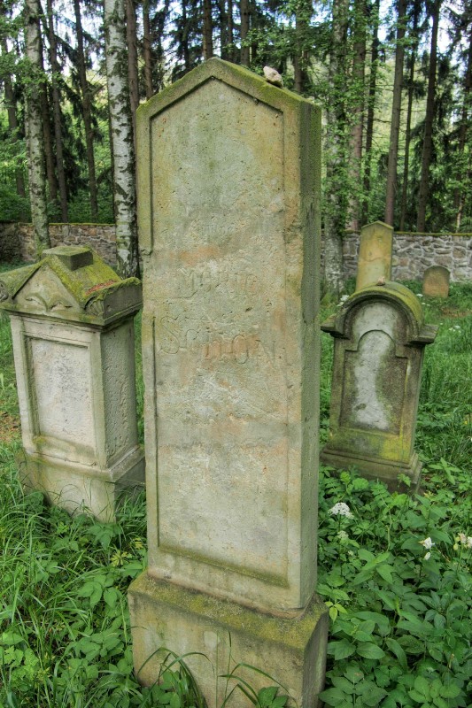 Židovský hřbitov Dřevíkov_46