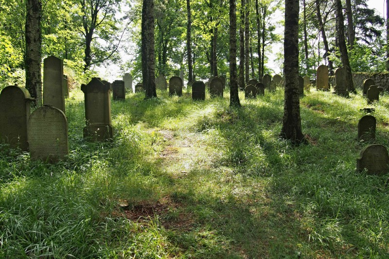Židovský hřbitov Dřevíkov_49