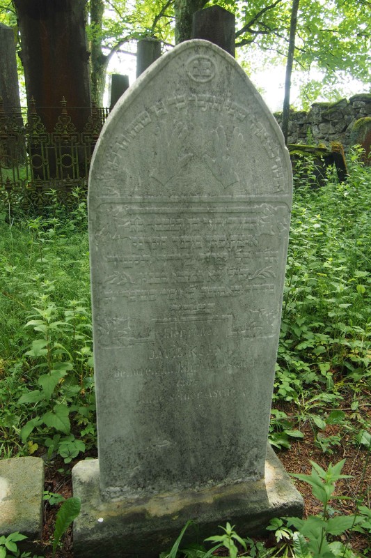 Židovský hřbitov Dřevíkov_74