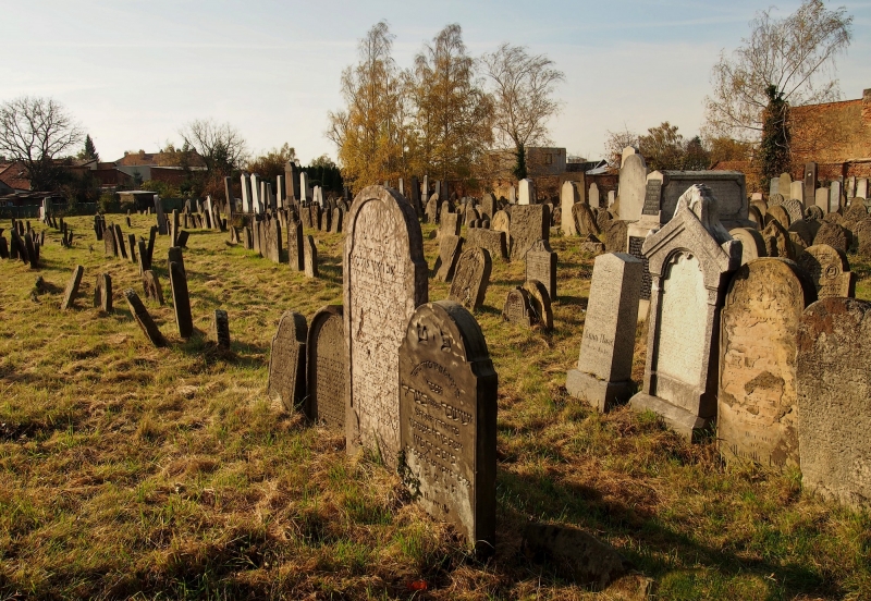 Židovský hřbitov Holešov_56
