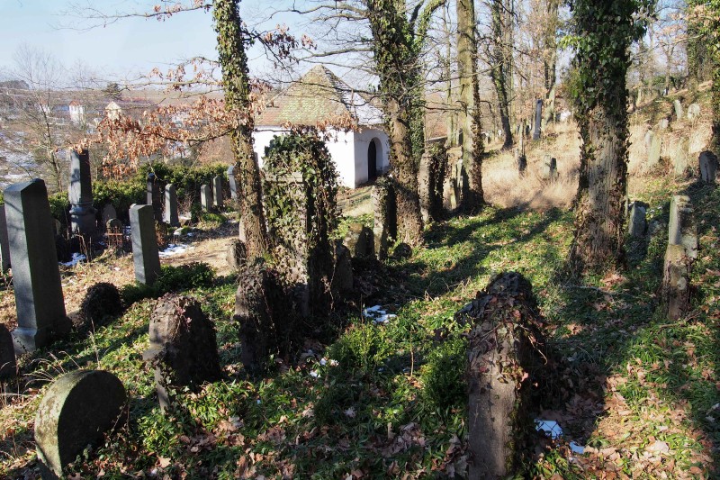 Židovský hřbitov v Kosově Hoře_72