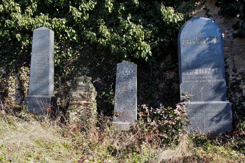 Židovský hřbitov v Kosově Hoře_15