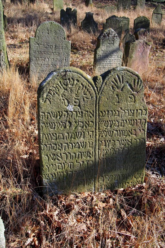 Židovský hřbitov v Kosově Hoře_39