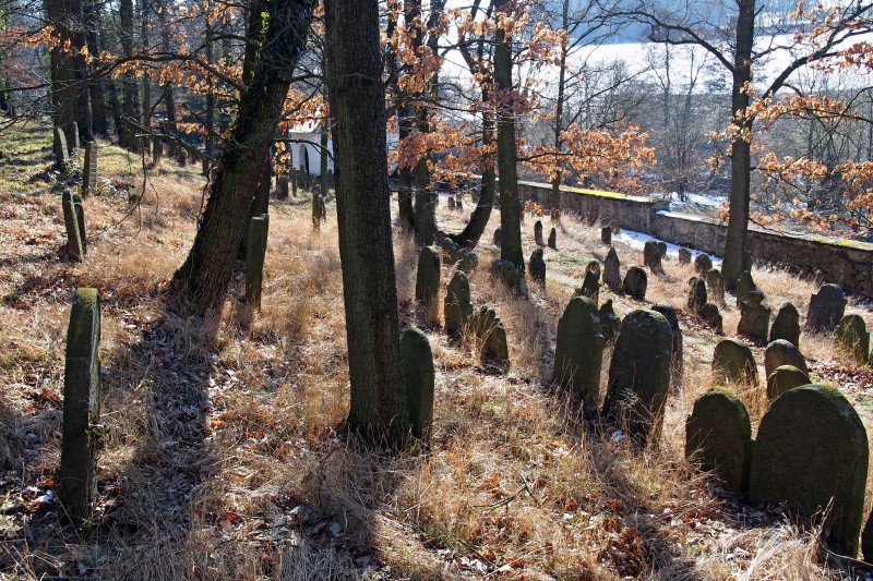 Židovský hřbitov v Kosově Hoře_51
