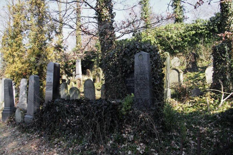 Židovský hřbitov v Kosově Hoře_63