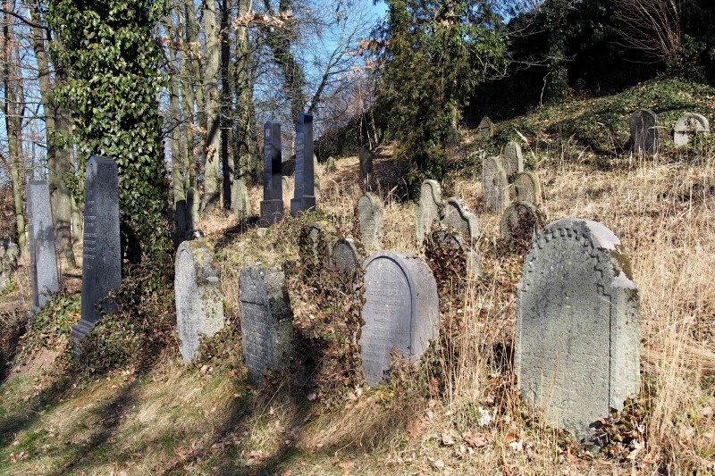Židovský hřbitov v Kosově Hoře_77