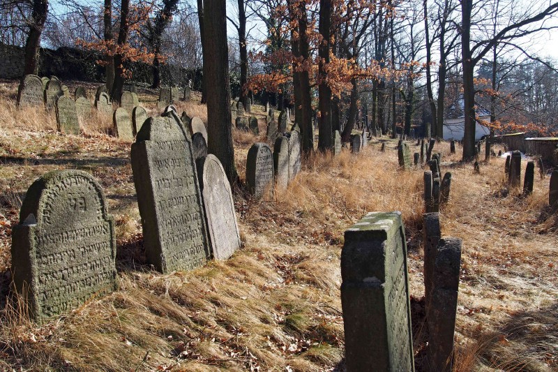 Židovský hřbitov v Kosově Hoře_46