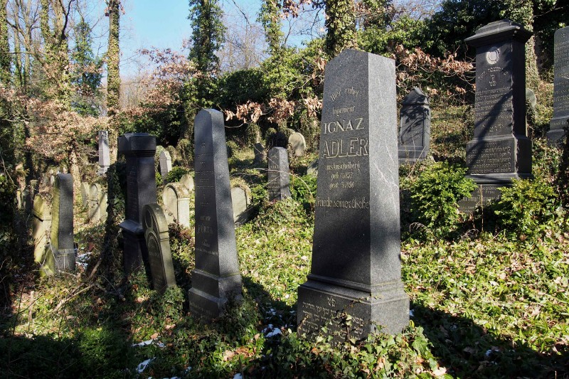 Židovský hřbitov v Kosově Hoře_58