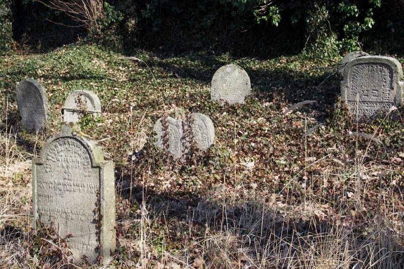 Židovský hřbitov v Kosově Hoře_76