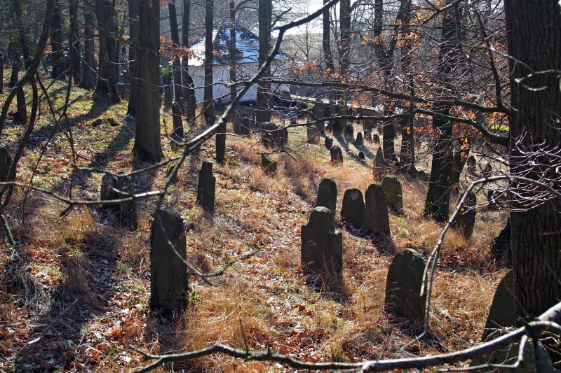 Židovský hřbitov v Kosově Hoře_100