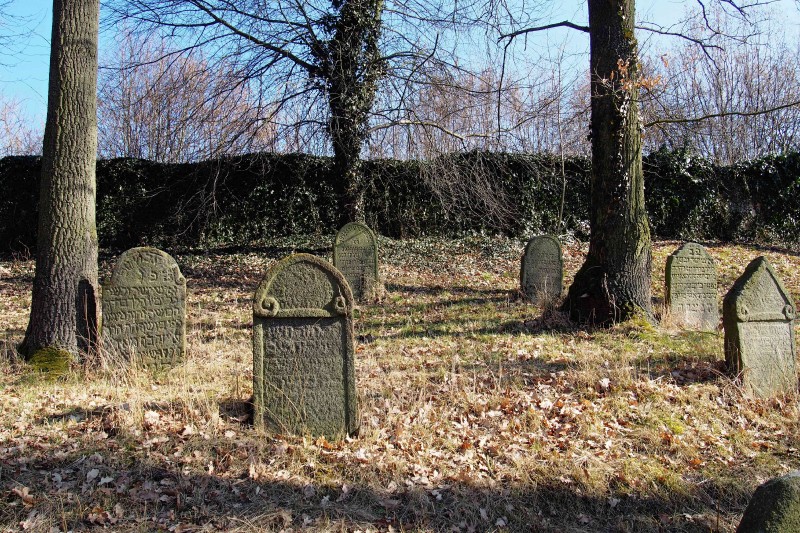 Židovský hřbitov v Kosově Hoře_29