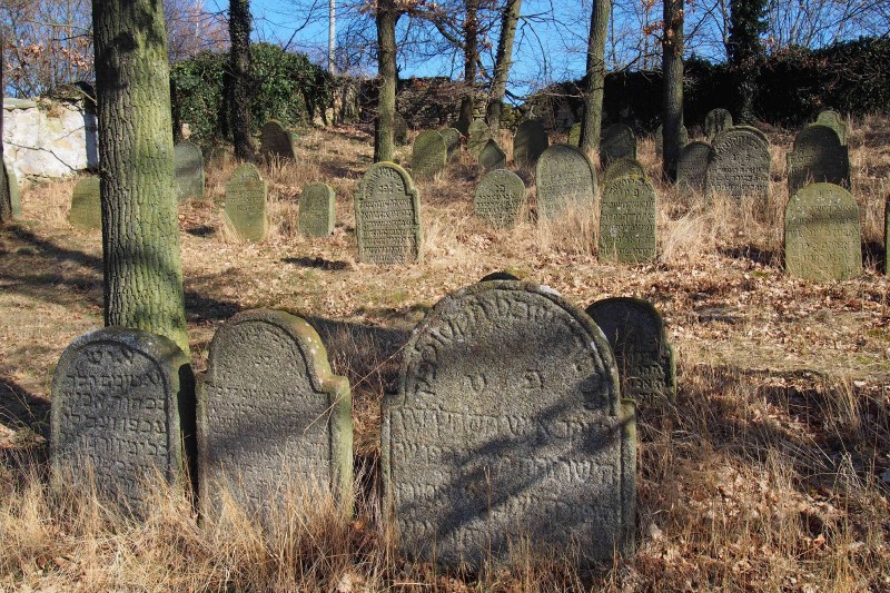Židovský hřbitov v Kosově Hoře_40