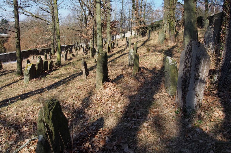 Židovský hřbitov v Kosově Hoře_98