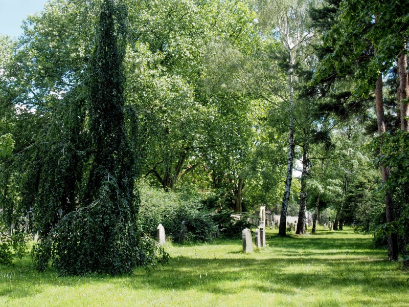 Židovské hřbitovy Lipník nad Bečvou_11