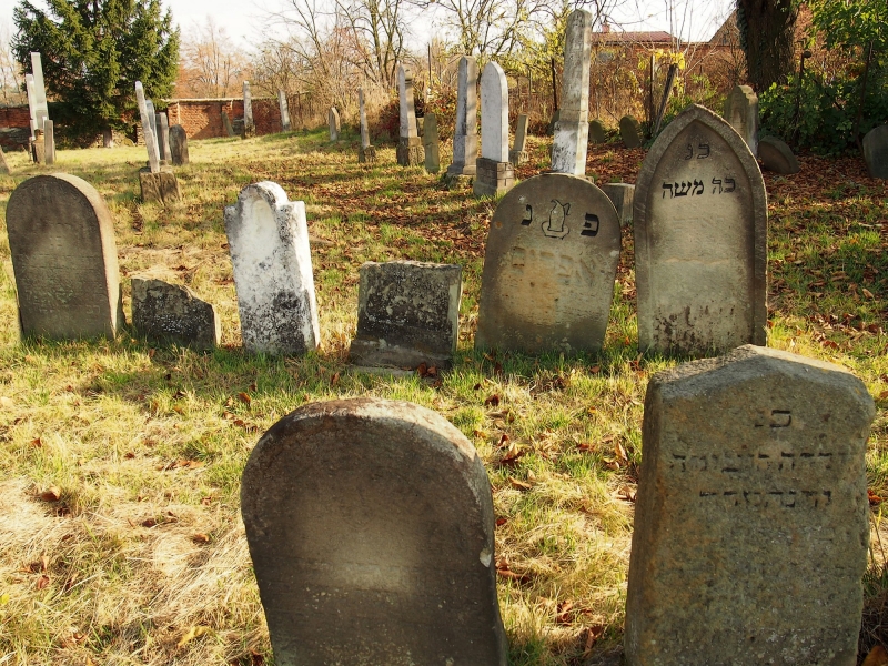Židovský hřbitov Holešov_74