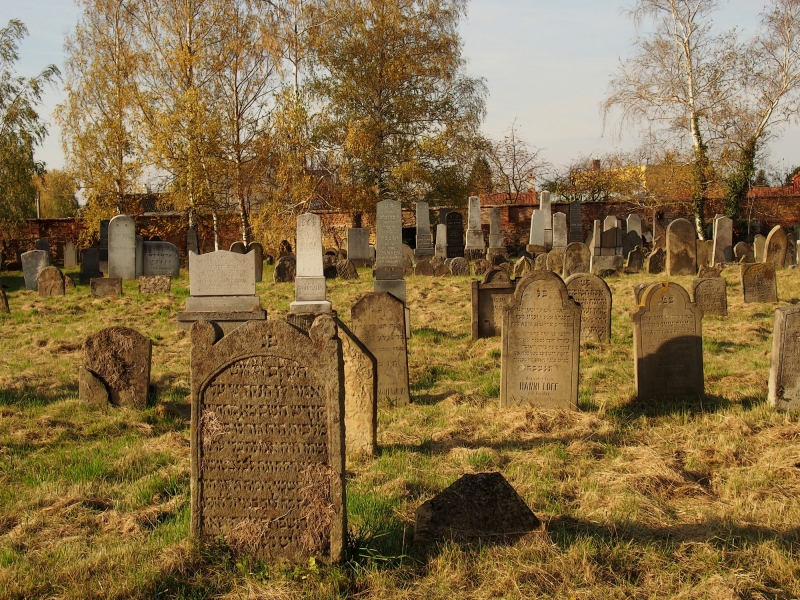 Židovský hřbitov Holešov_78