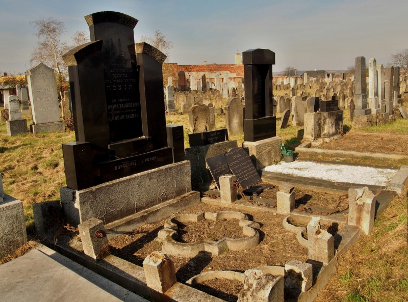Židovský hřbitov Holešov_79