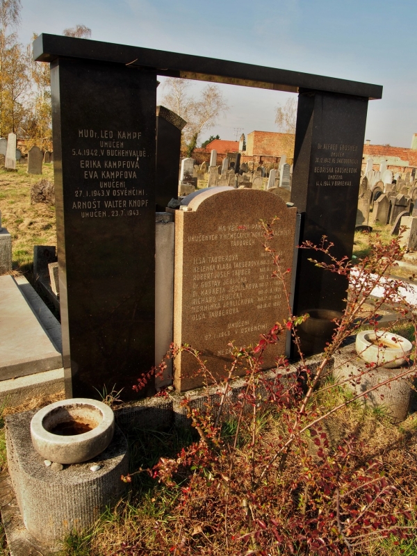 Židovský hřbitov Holešov_80