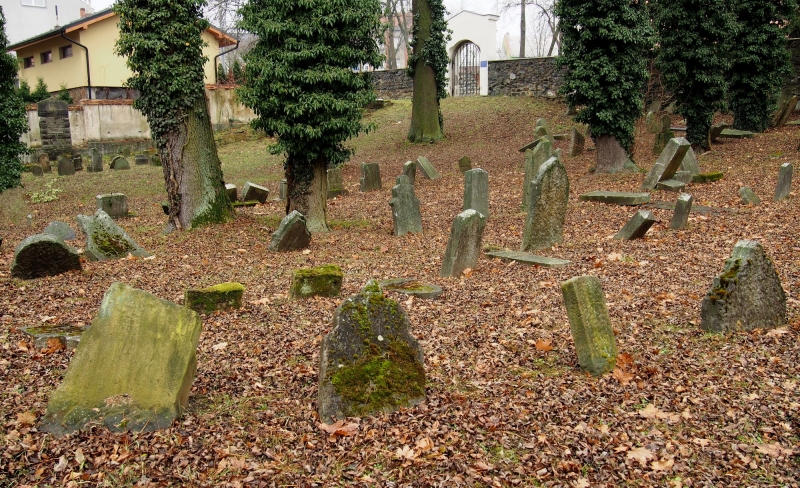 Židovský hřbitov Hranice_29