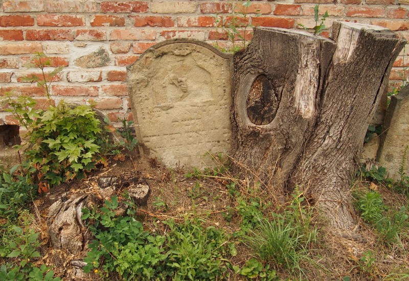 Židovský hřbitov Ivančice_26
