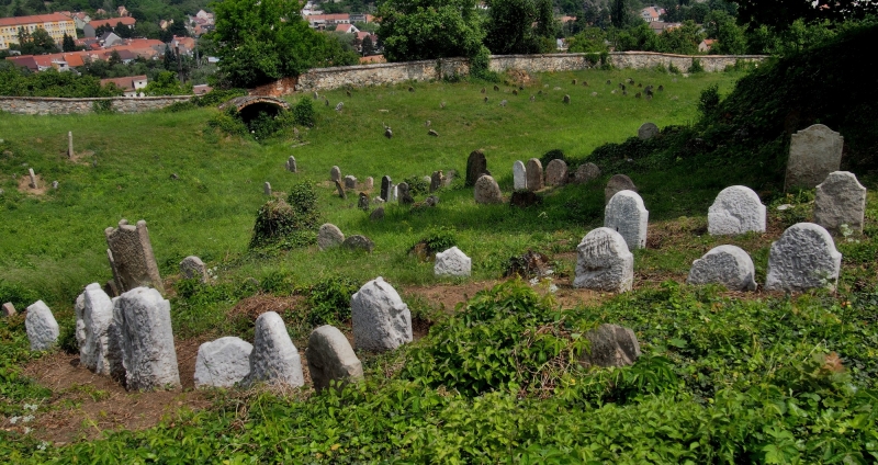 Židovský hřbitov Dolní Kounice_21