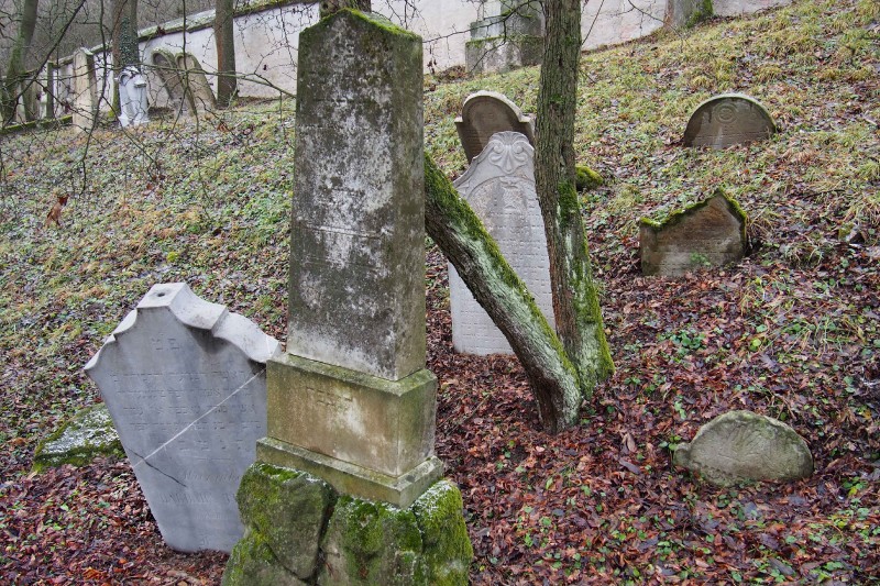 Židovský hřbitov Slavkov u Brna _26