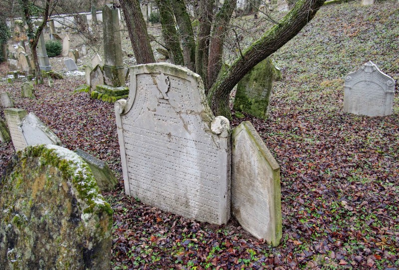 Židovský hřbitov Slavkov u Brna _21
