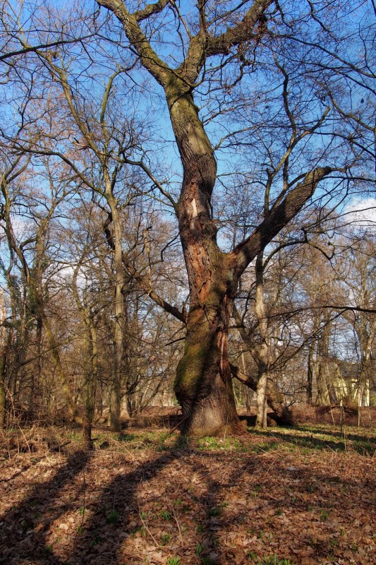 Zámek a park Veselí nad Moravou_43